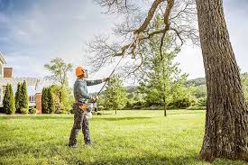 Best Tree and Shrub Care  in Rutherford College, NC